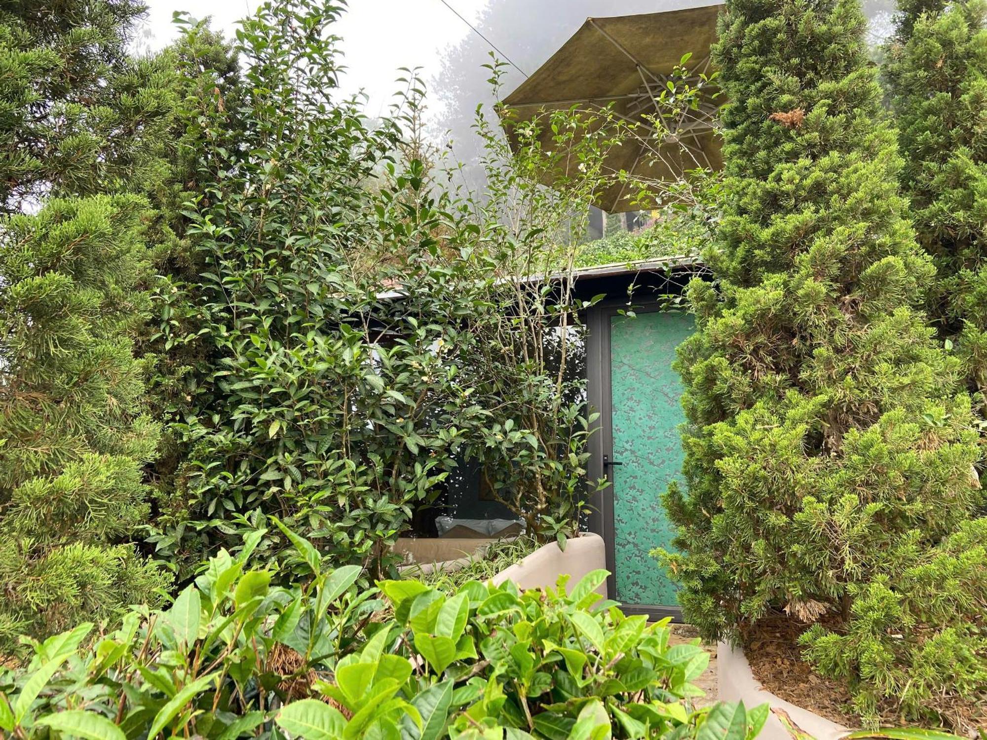 מוק צ'או Hippie Home מראה חיצוני תמונה